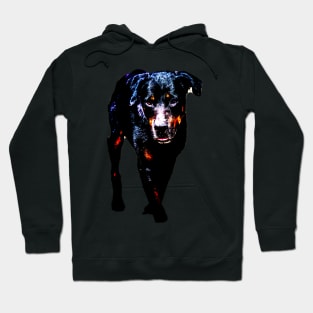 rottweiler Hoodie